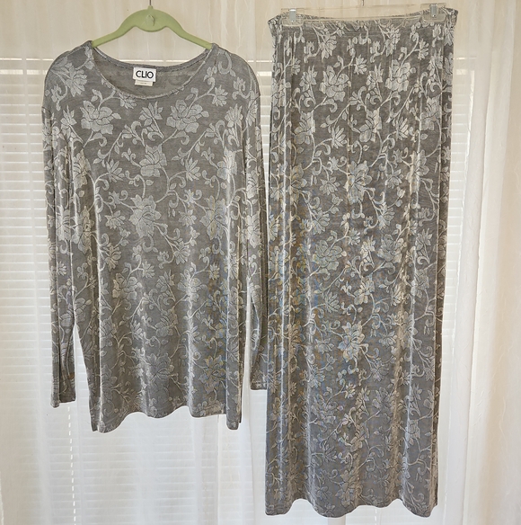 Clio Dresses & Skirts - Clio Silver-Gray Floral Velvet Maxi Skirt w/ Top Set